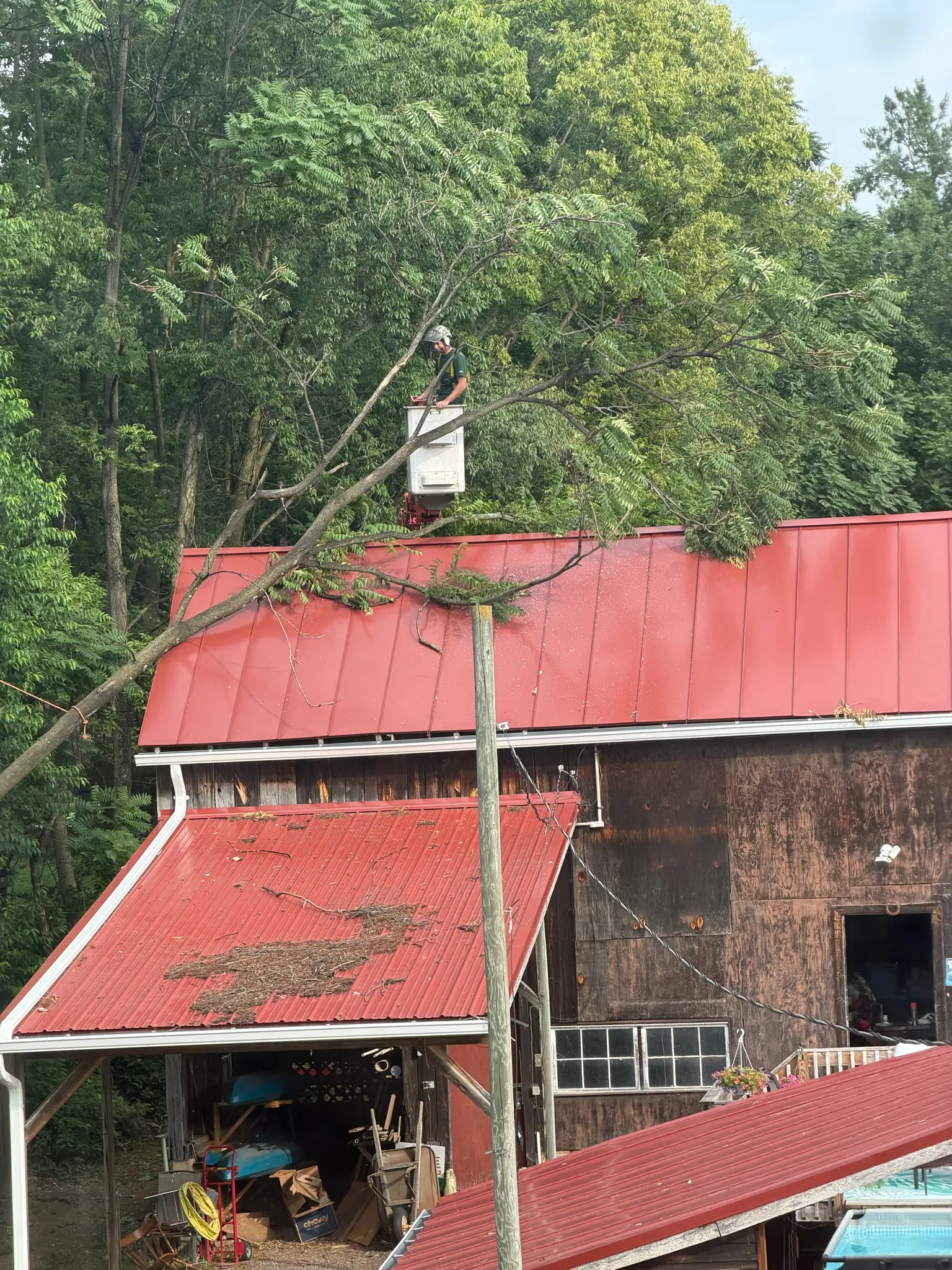 Tree removal underway after storm damage to a standing seam metal roof in Virginia