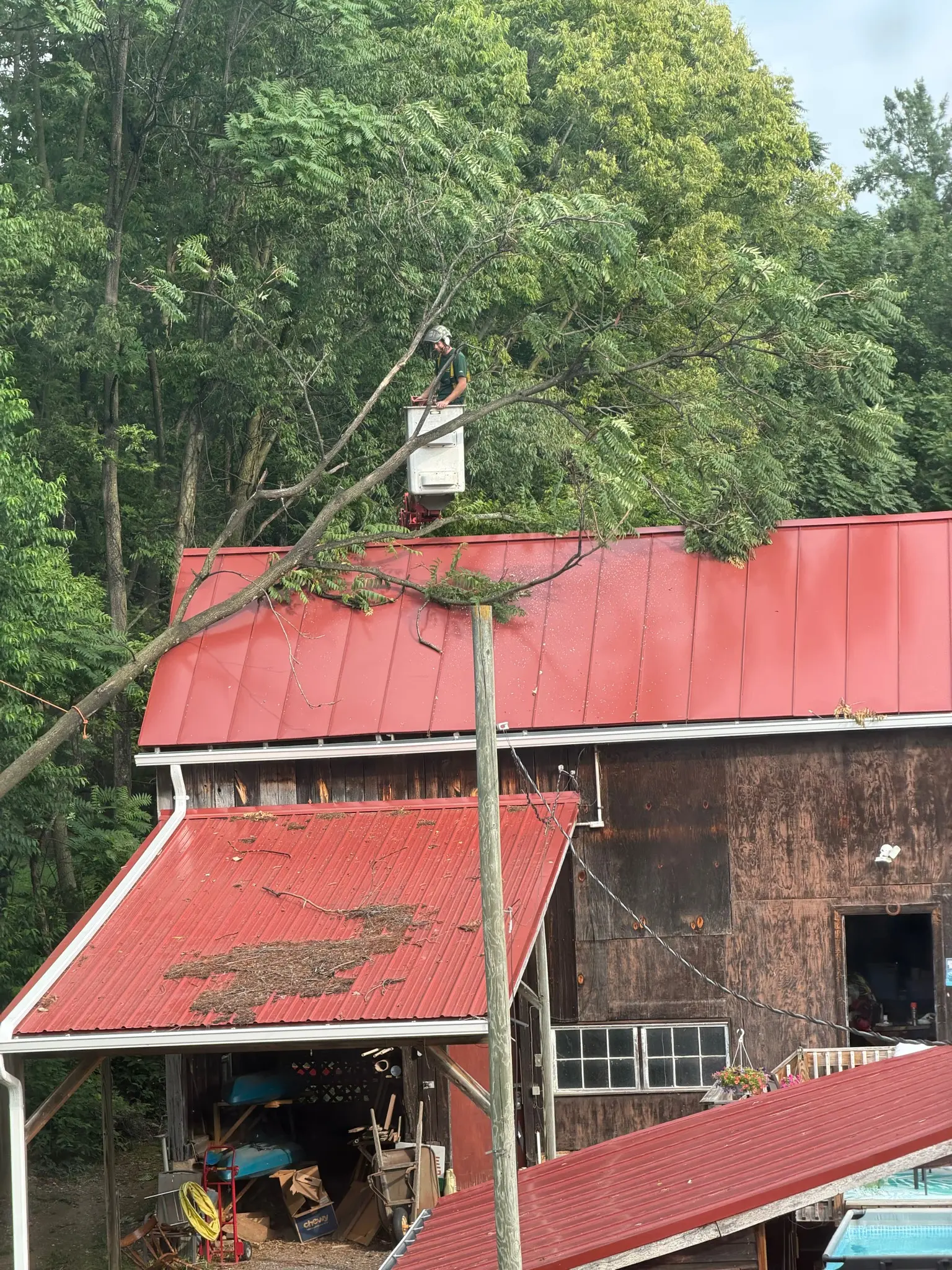Tree removal underway after storm damage to a standing seam metal roof in Virginia